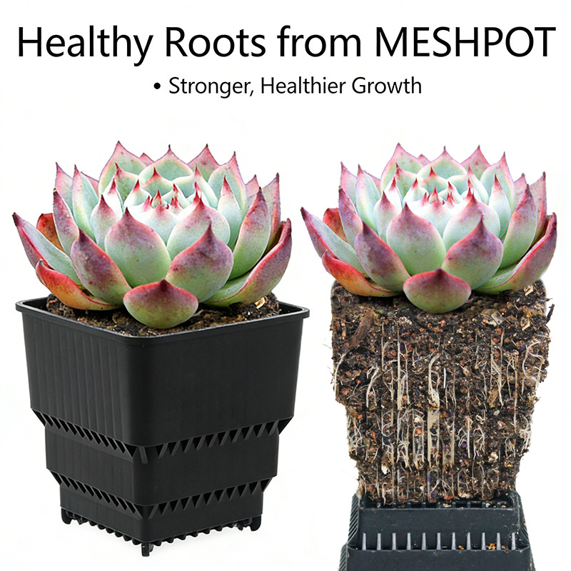 MESHPOT 6-Pack Square Pots for - 3D Printing Pot ulasan dan harga