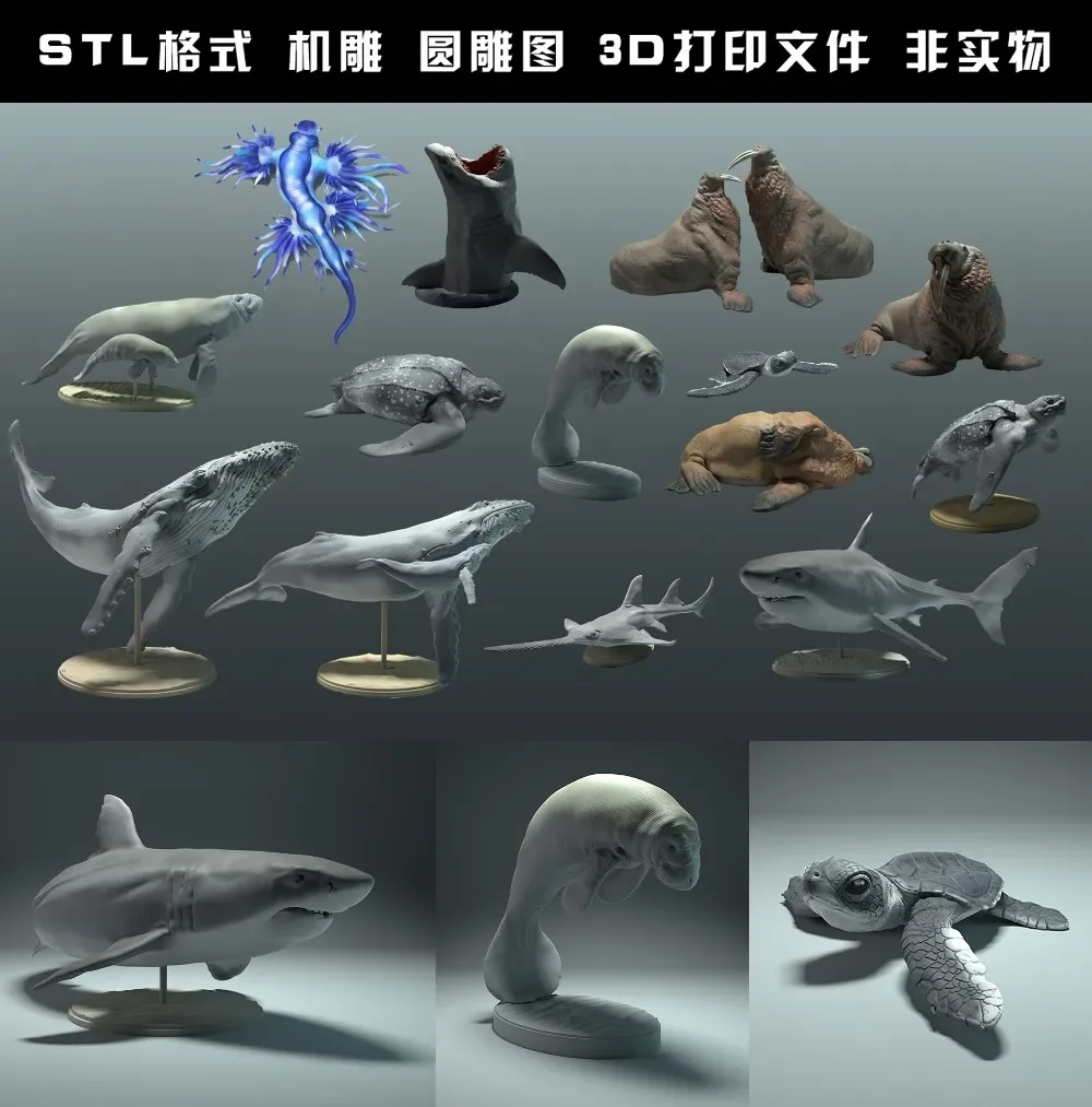 animals, polar bear, takin, wo - 3D Printing Files ulasan dan harga